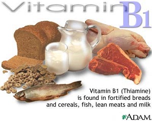 Vitamin B1 (thiamine) is found in fortified breads and cereals, fish, lean meats and milk Vitamin B1 (thiamine) is found in fortified breads and cereals, fish, lean meats and milk