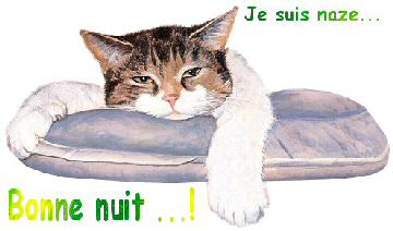 Je suis naze ... Bonne nuit ! BAYA