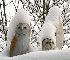 Chouettes dans la neige