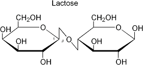 Formule chimique du lactose