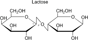 Formule chimique du lactose Formule chimique du lactose