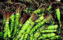 Khat Khat