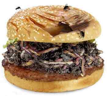 Hamburger avec mouches et lombrics Hamburger avec mouches et lombrics