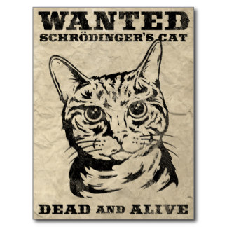 Blague chat Schrödinger