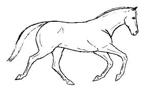 Cheval allant l'aubin Cheval allant l'aubin