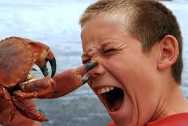 Crabe qui pince le nez