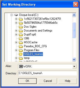 Configuration du Working Directory dans Paradox runtime