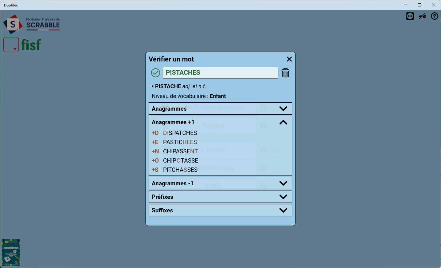 DupliJeu verificateur de mots